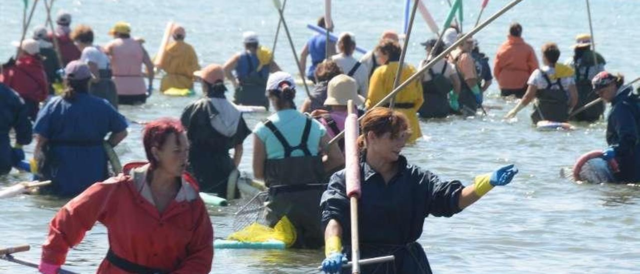 Mariscadoras de Moaña en A Xunqueira. // Gonzalo Núñez