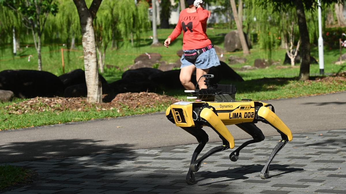 Policía de Nueva York deja de usar su perro robot: estas son las causas –  FayerWayer