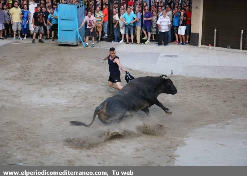 Fiestas de Sant Pere 2018