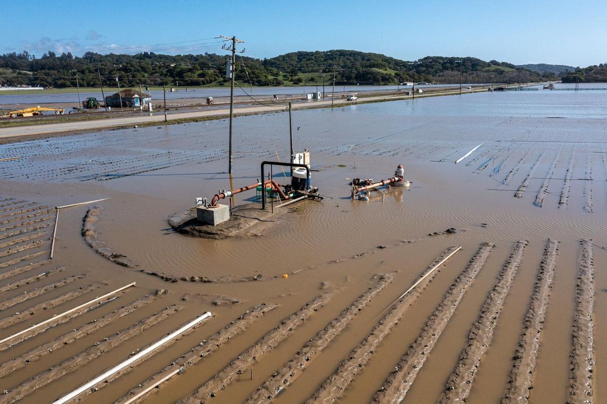 Campos inundados en Pájaro (California) debido al paso de un río atmosférico