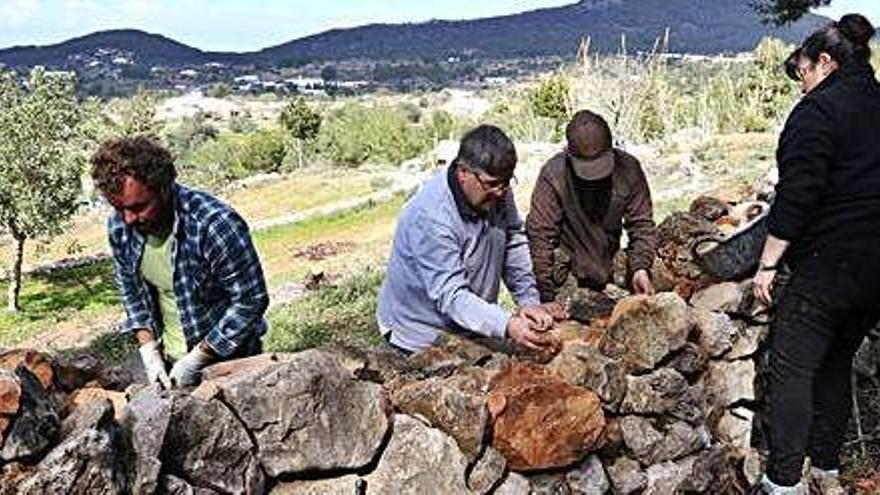 Jornada de reconstrucción de paredes de piedra seca en Santa Agnès.