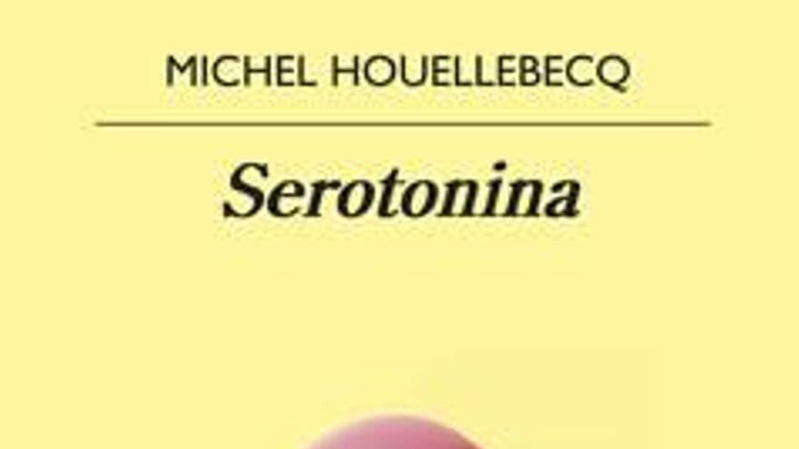 La caída según Houellebecq