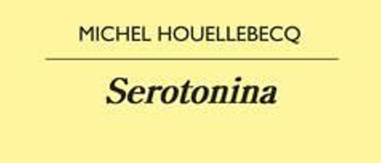 La caída según Houellebecq