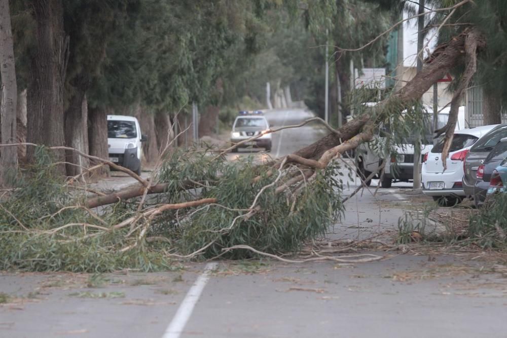 La borrasca Ana, a su paso por Cartagena