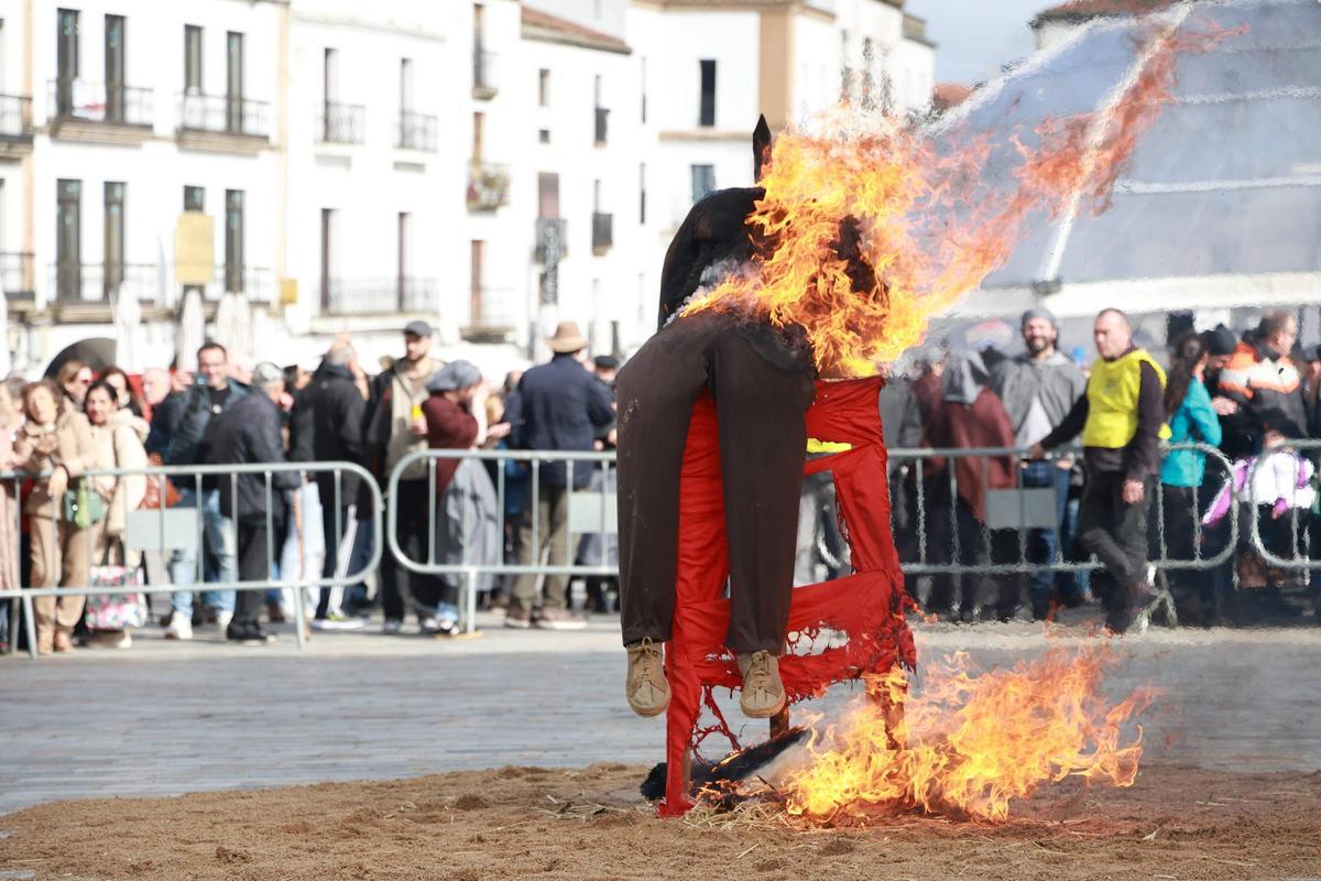 Así ardió el Pelele en Cáceres el pasado viernes.