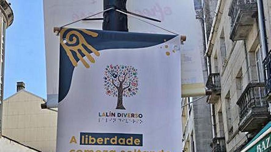 Cartel del proyecto Lalín Diverso.