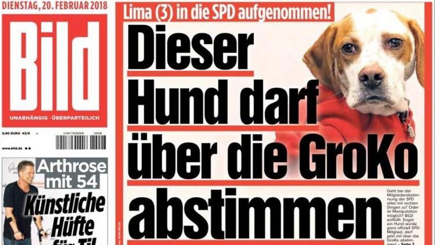 El diario alemán &#039;Bild&#039; logra inscribir como militante del SPD a una perra