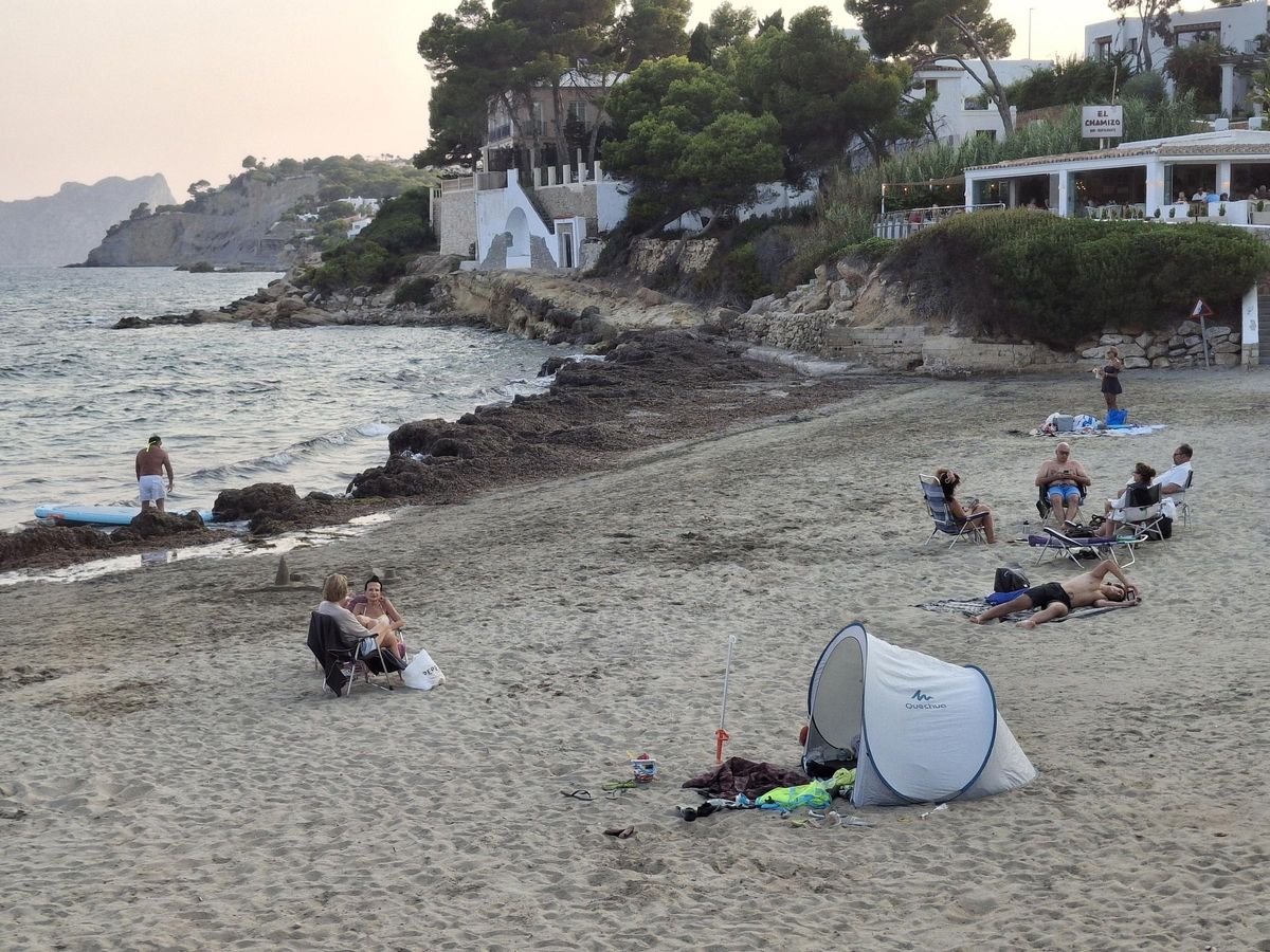 Arribazones de posidonia en la playa de Platgetes de Moraira