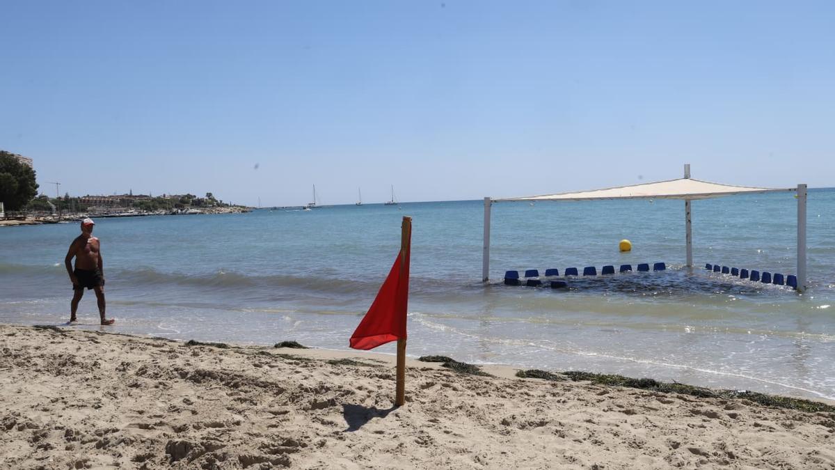 La playa de la Albufereta, en Alicante, cerrada en agosto de 2025 por contaminación
