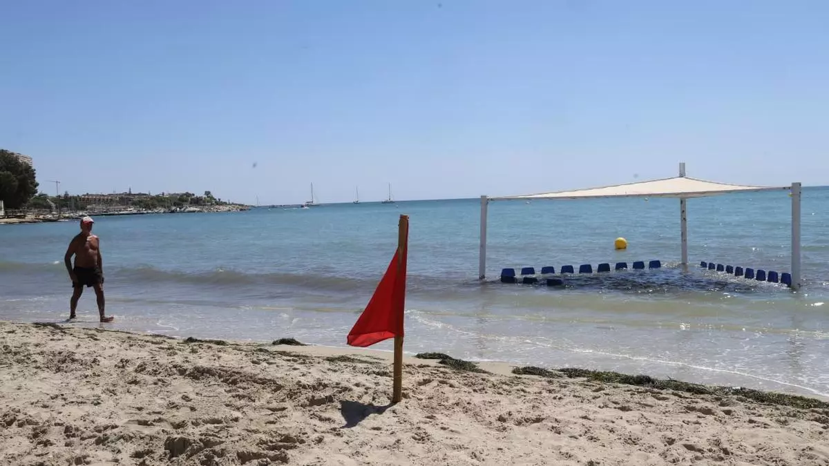 Otro año sin pleno de banderas azules en las playas de Alicante
