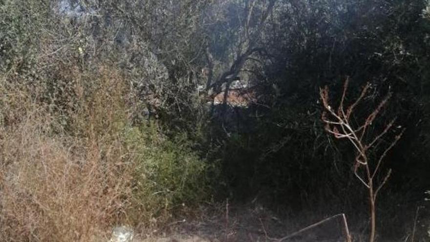 Los bomberos de Ibiza intervienen en un incendio de rastrojos en el asentamiento de infraviviendas de Sant Jordi