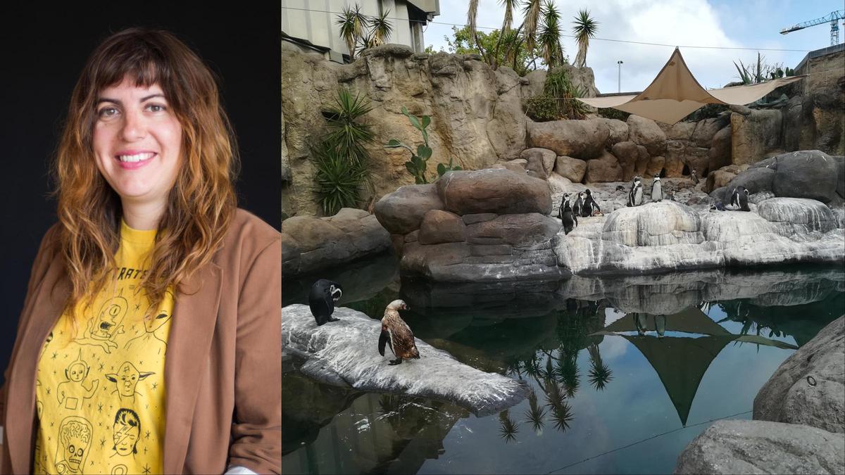 Laura Fernández y una imagen de los pingüinos del Zoo de Barcelona