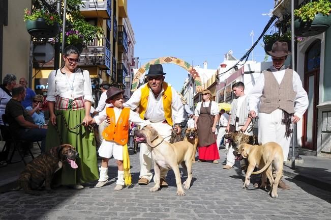 Romería de Santiago de Gáldar 2016