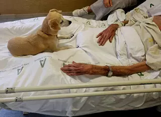 El Hospital Civil de Málaga permite a los pacientes en cuidados paliativos despedirse de su animal de compañía