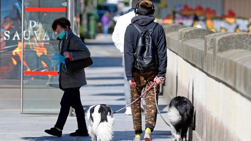 Un joven pasea a sus perros en Vigo en el estado de alarma.