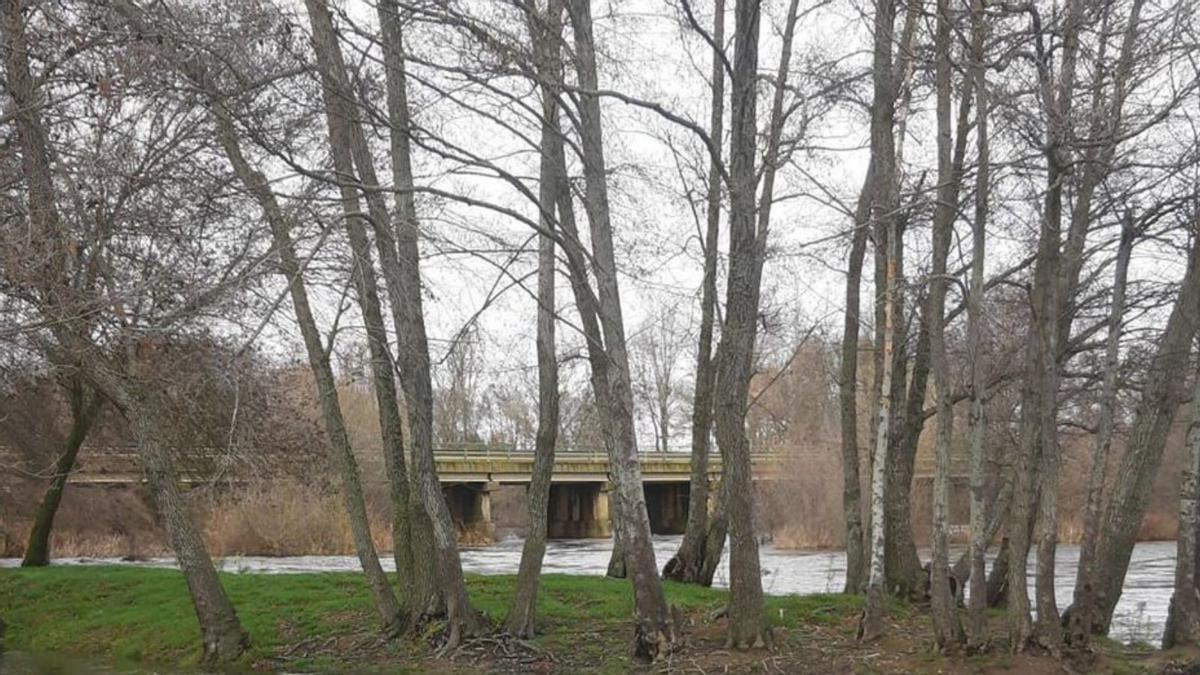 Brazo del río Tera en Mózar, una zona de actuación del proyecto. | J. A. G.