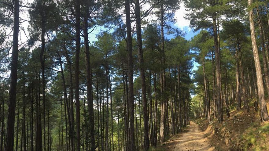 Vilafranca posee una amplia red de senderos.