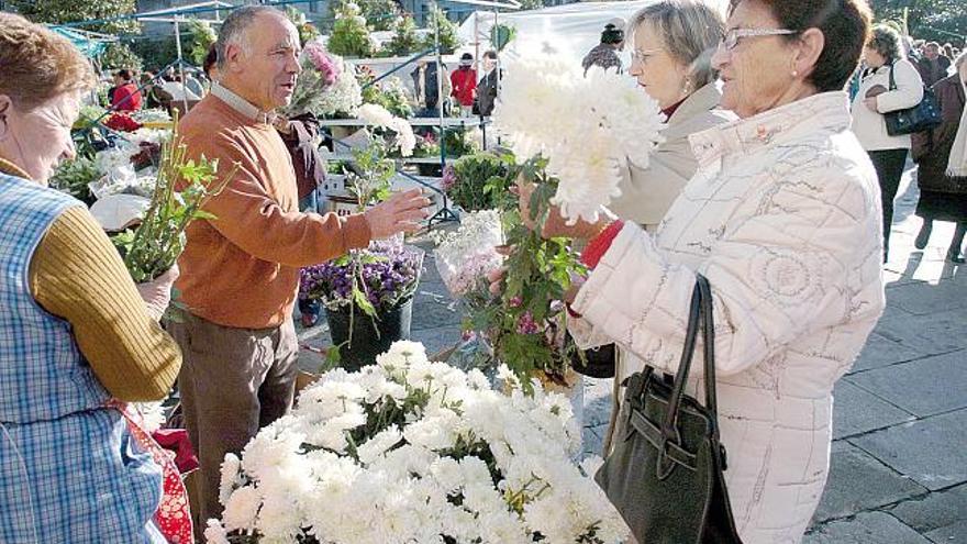 Dos compradoras adquieren gladiolos, ayer, en el mercadillo de flores de A Ferrería
