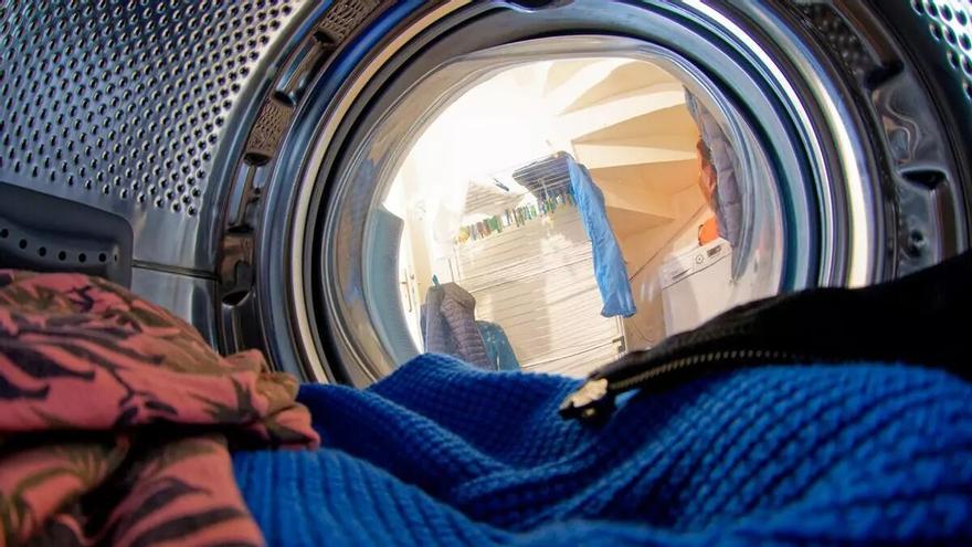 Hoja de laurel en la lavadora: el truco de las abuelas para mejorar el color de la ropa