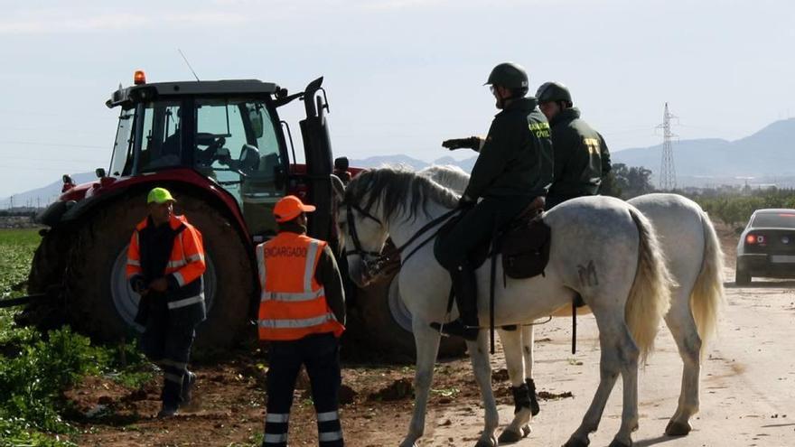 Agentes a caballo patrullando por el campo de Cartagena y Mar Menor.