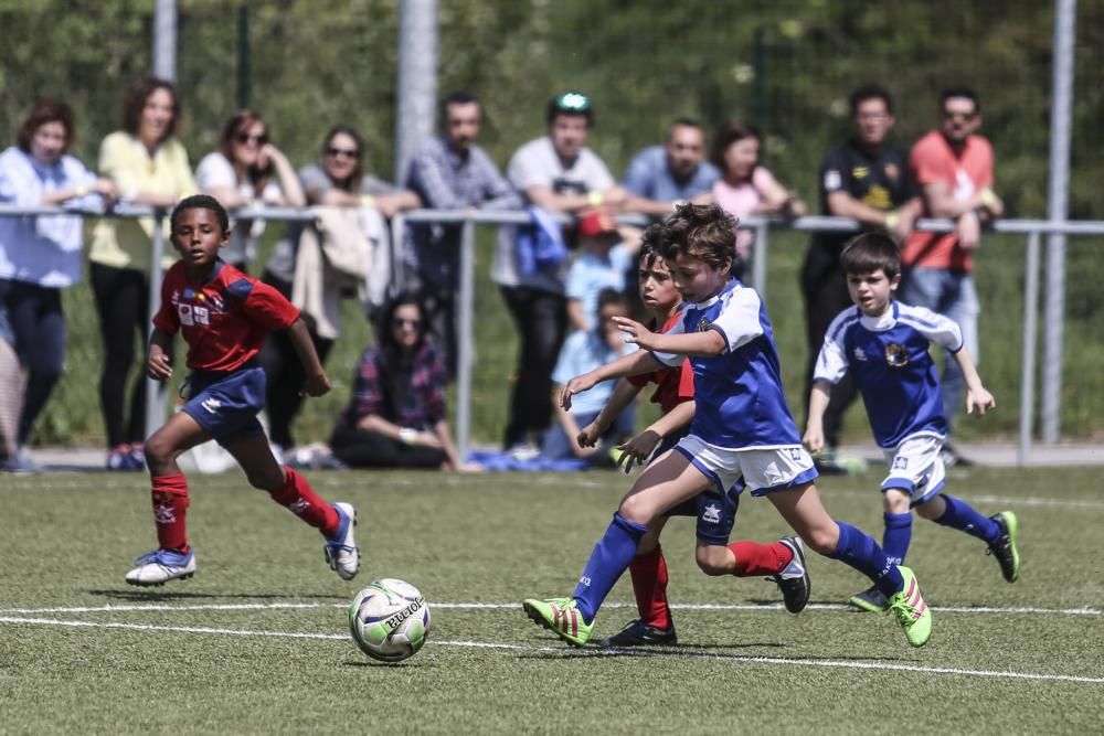 Partidos y actividades de la Oviedo Cup