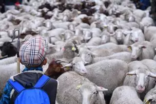 La Unesco declara la trashumancia y la técnica del vidrio soplado Patrimonio Cultural Inmaterial de la Humanidad