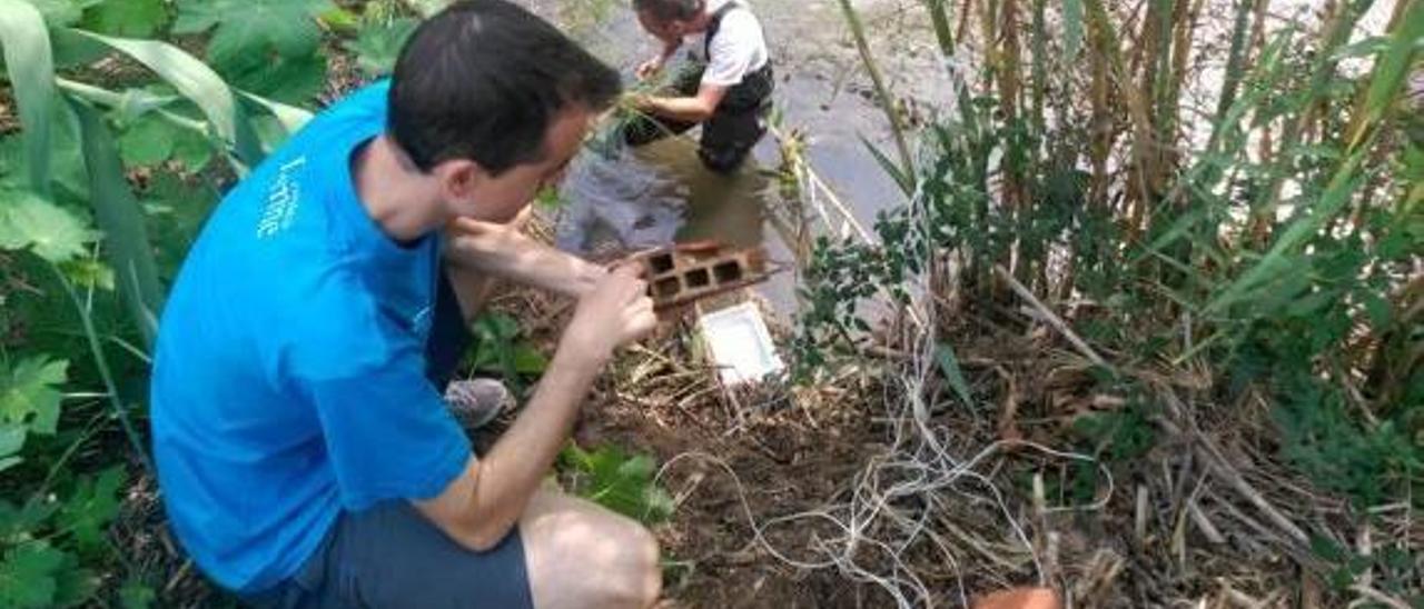 La calidad del agua del Xúquer es mejor de lo que se esperaba