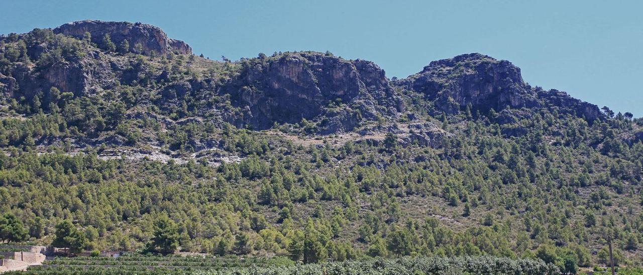 La Serra de la Falconera
de Gandia, on es troba
la Cova de l’Autopista.  Ximo Ferri
