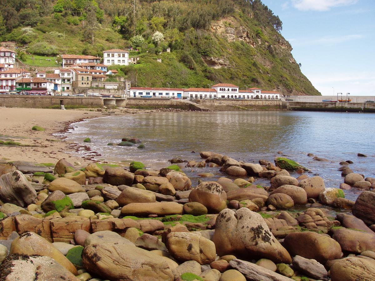 Tazones.