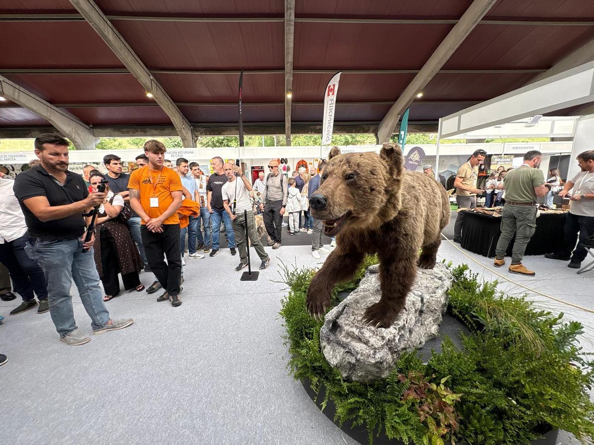 Narcenatur abre sus puertas con la presentación del “oso rubio” y actividades para escolares