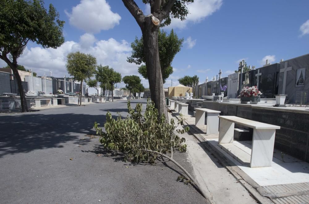 Visitantes critican la imagen actual del camposanto de la capital, que acumula falta de mantenimiento y de limpieza.