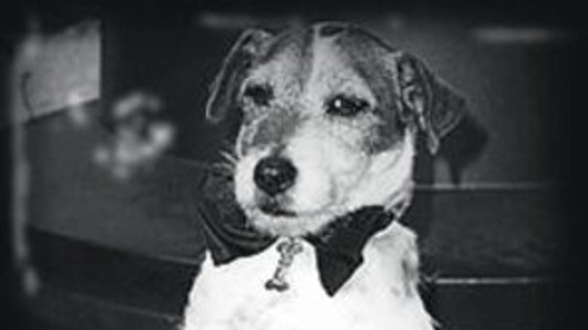 El perro Uggie, en la gala de los Oscar.