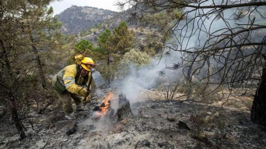 Albacete L&#039;incendi de Yeste podria quedar perimetrat durant el dia d&#039;avui