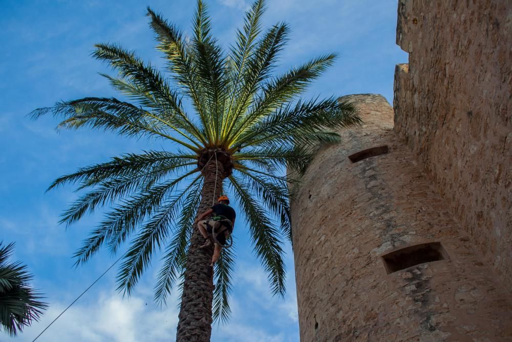 Palacio de Altamira de Elche