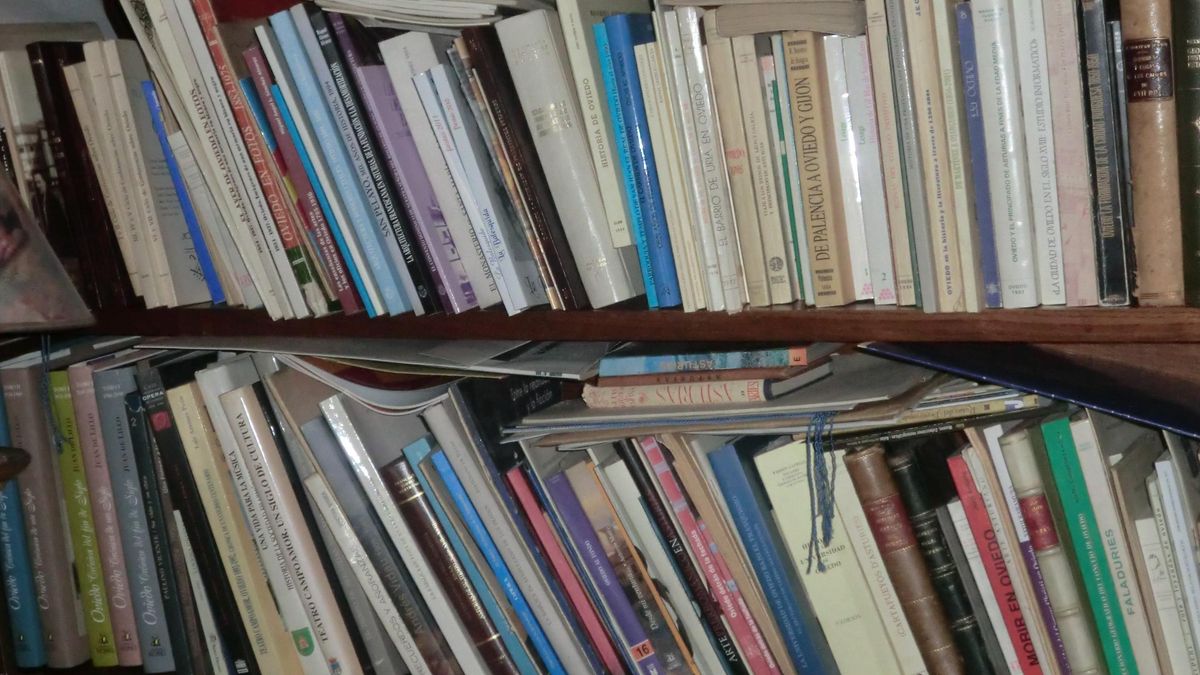 Varios libros en una estanteria.