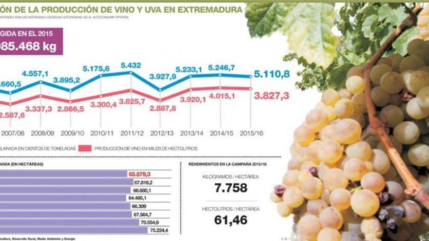 La vendimia será entre un 10% y un 25% menor que la pasada campaña