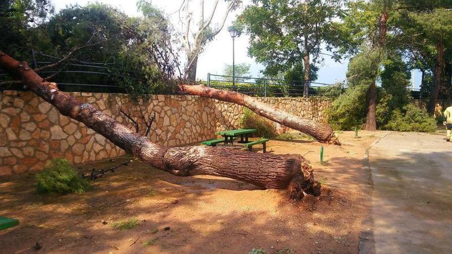 Una tormenta causa importantes daños en Longares