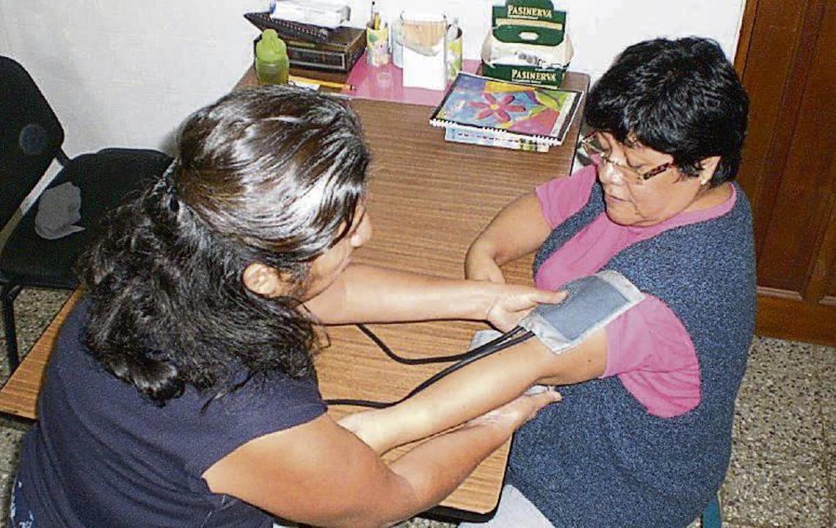 Sembrar semillas de educación