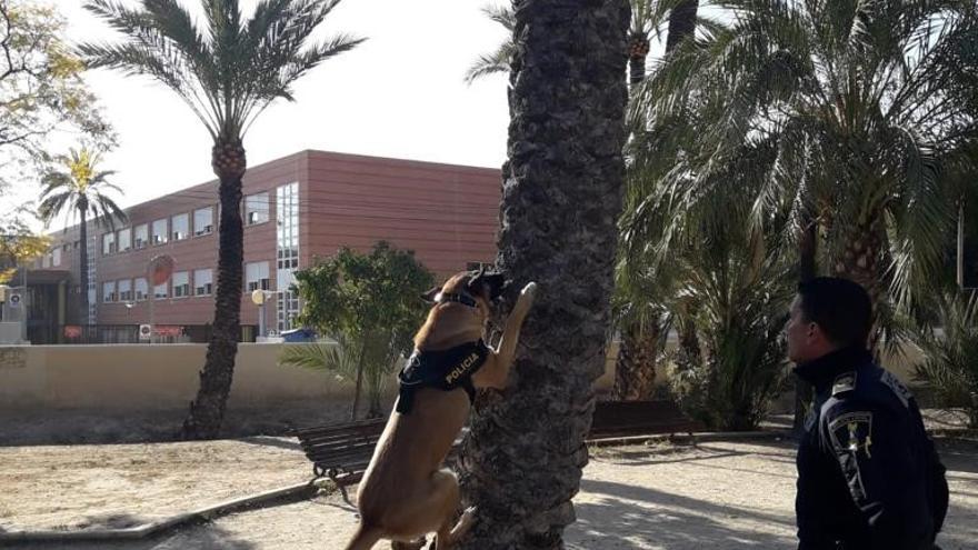 Un agente y un &quot;policía canino&quot;