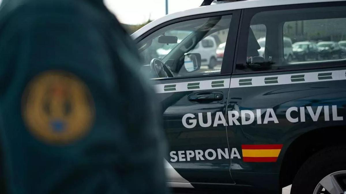 Un vehículo del Seprona.