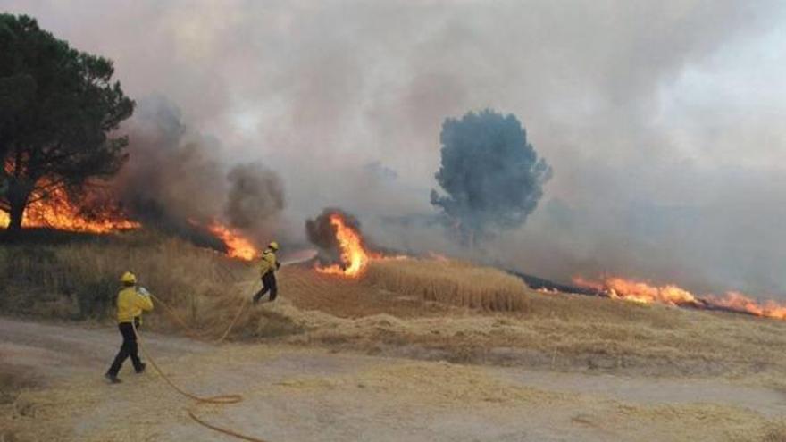 Primer incendi agrícola destacat de l&#039;estiu del 2016, que va cremar 25 hectàrees a Montmaneu, a l&#039;Anoia