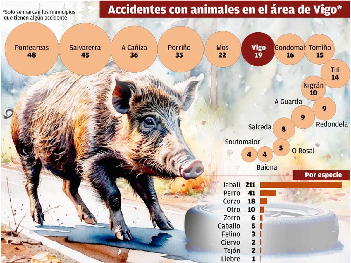 Tecnología contra los jabalíes para evitar accidentes de tráfico - Faro de  Vigo