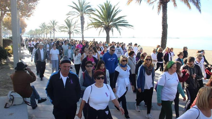 Més de 400 participants van participar l&#039;any passat a la caminada