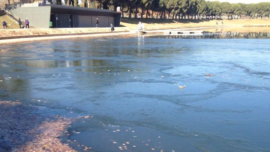 El Parc de l&#039;Agulla, en part glaçat, aquest dimecres al matí.