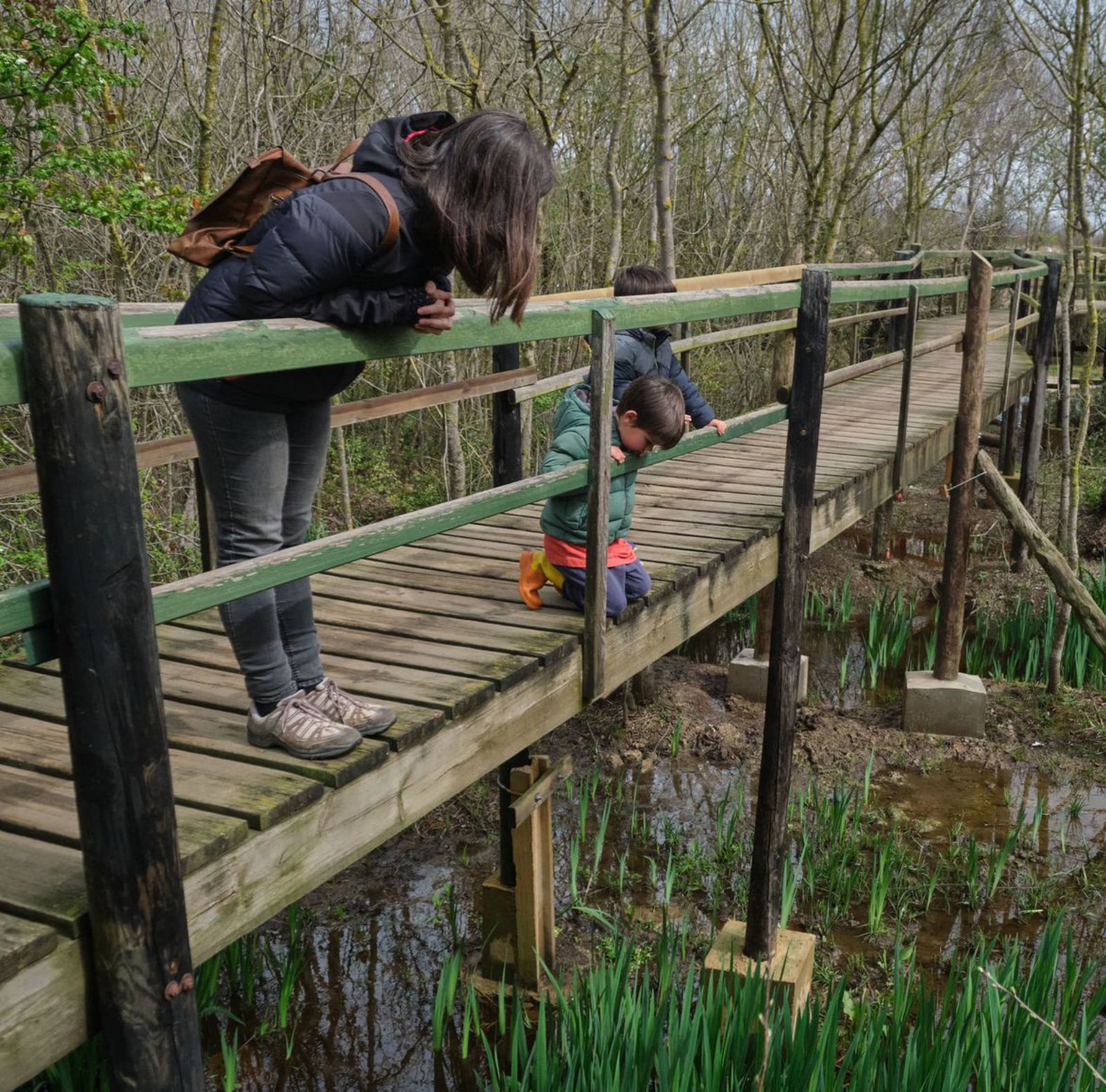 La natura es mostra amb tot el seu esplendor al Parc dels Aiguamolls