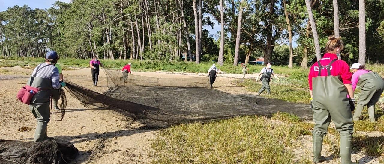 Las mariscadoras de la cofradía San Martiño preparan las redes con las que protegen sus bivalvos frente a los depredadores.