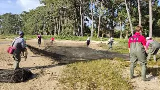 Las cofradías cultivan su huerto