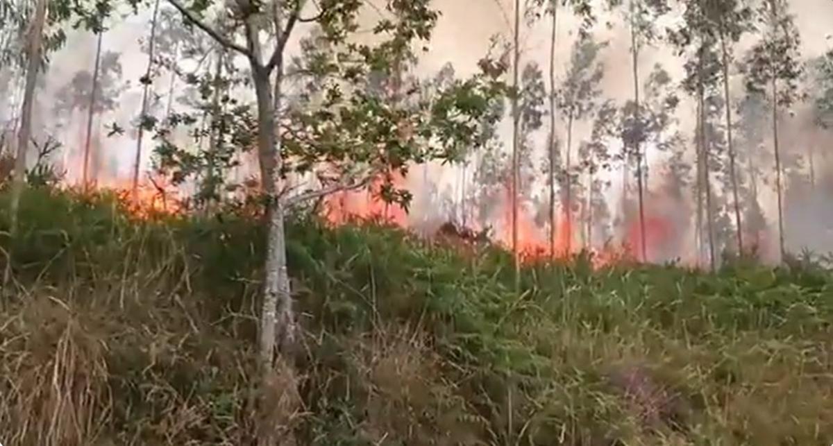 Espanya crema pels incendis forestals