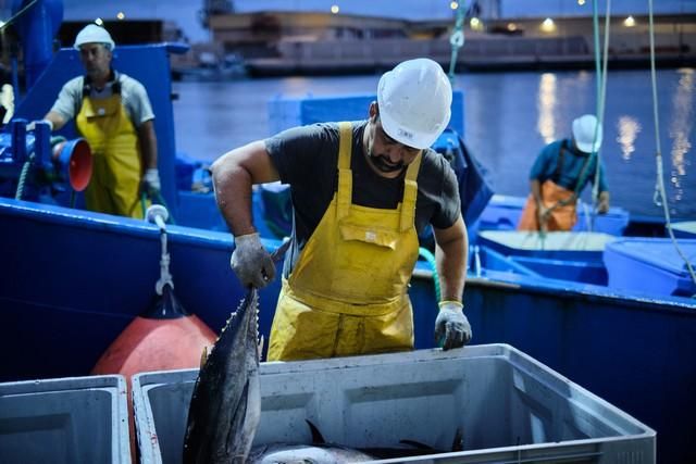 Descarga de atún en el puerto de Santa Cruz