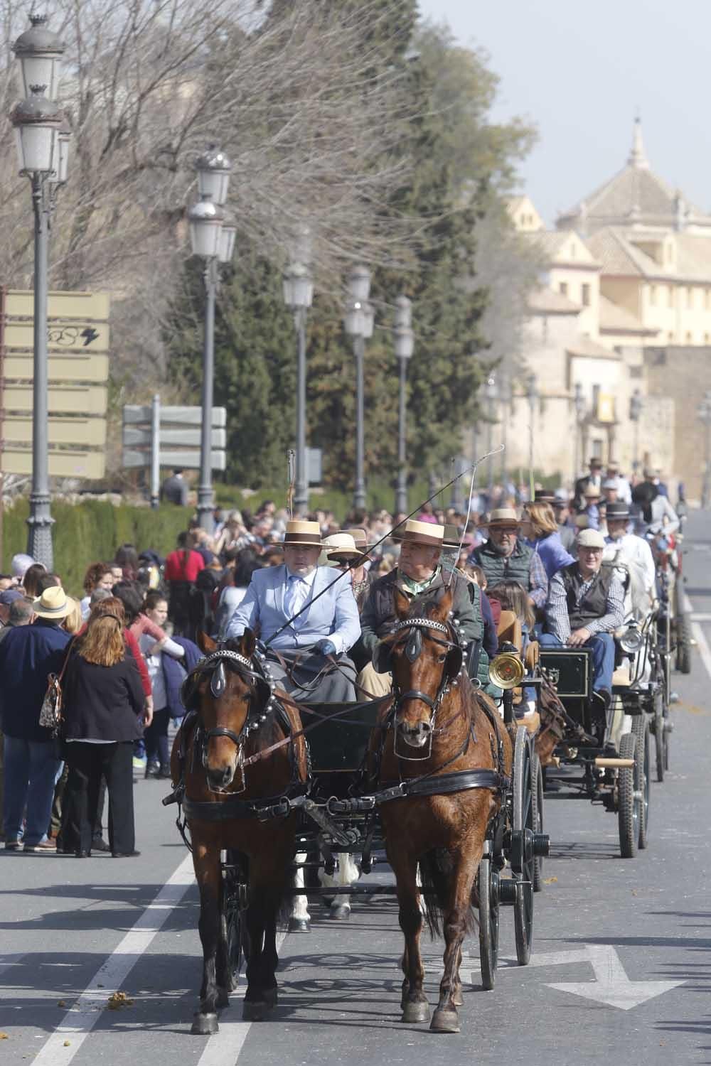 Córdoba celebra el 28-F con una marcha hípica